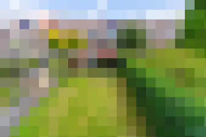 Royaards van den Hamkade 17 Utrecht thumbnail 14