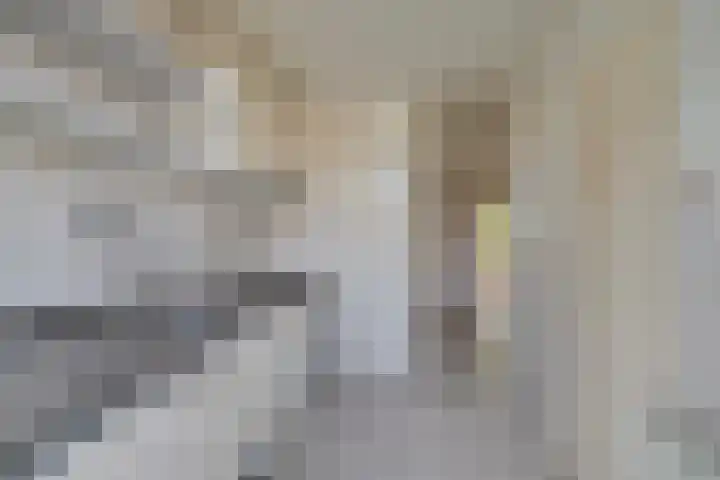 Royaards van den Hamkade 17 Utrecht thumbnail 15
