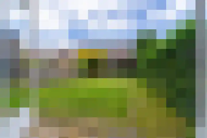 Royaards van den Hamkade 17 Utrecht thumbnail 29