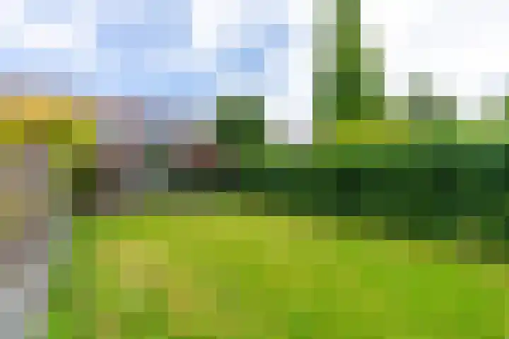 Royaards van den Hamkade 17 Utrecht thumbnail 31