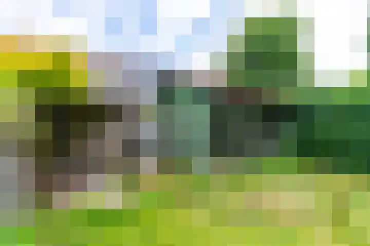 Royaards van den Hamkade 17 Utrecht thumbnail 32