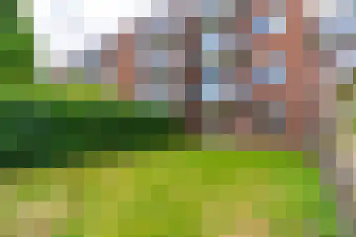 Royaards van den Hamkade 17 Utrecht thumbnail 34