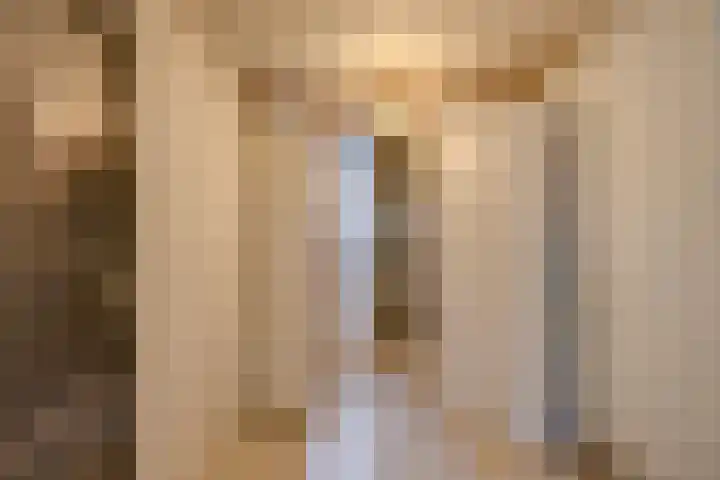 Royaards van den Hamkade 17 Utrecht thumbnail 36
