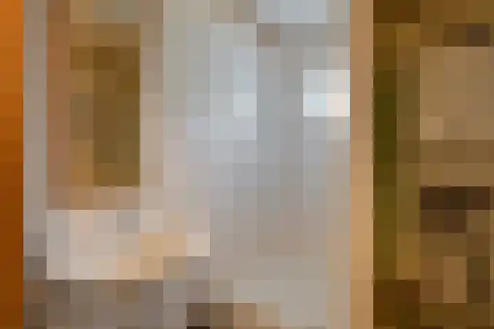 Royaards van den Hamkade 17 Utrecht thumbnail 37