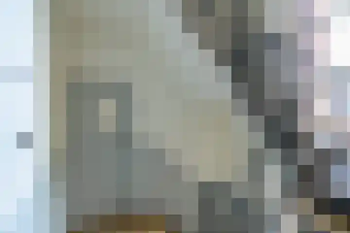 Royaards van den Hamkade 17 Utrecht thumbnail 39