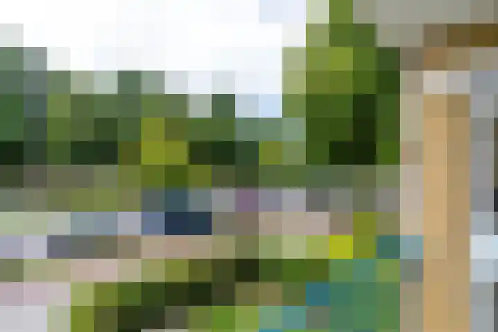 Royaards van den Hamkade 17 Utrecht thumbnail 8