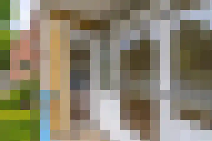 Royaards van den Hamkade 17 Utrecht thumbnail 9
