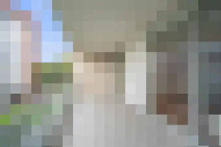 Royaards van den Hamkade 183 Utrecht thumbnail 14