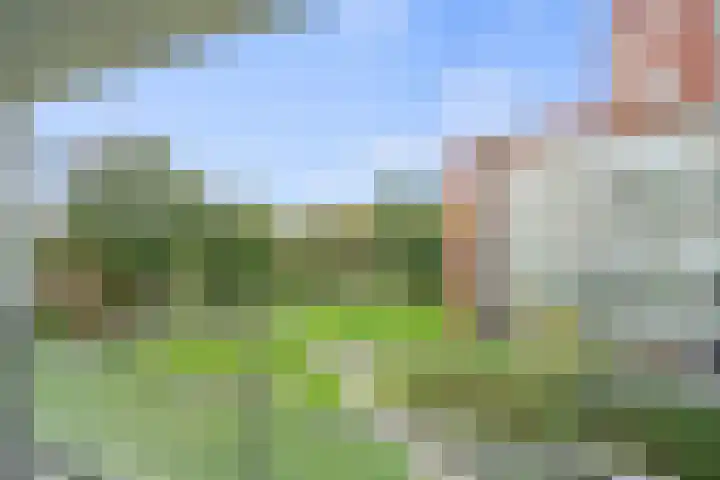 Royaards van den Hamkade 183 Utrecht thumbnail 16