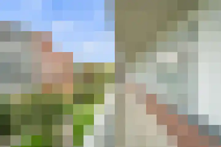 Royaards van den Hamkade 183 Utrecht thumbnail 28