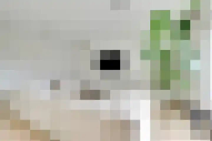 Royaards van den Hamkade 193 Utrecht thumbnail 16