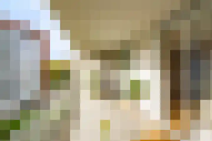 Royaards van den Hamkade 193 Utrecht thumbnail 22