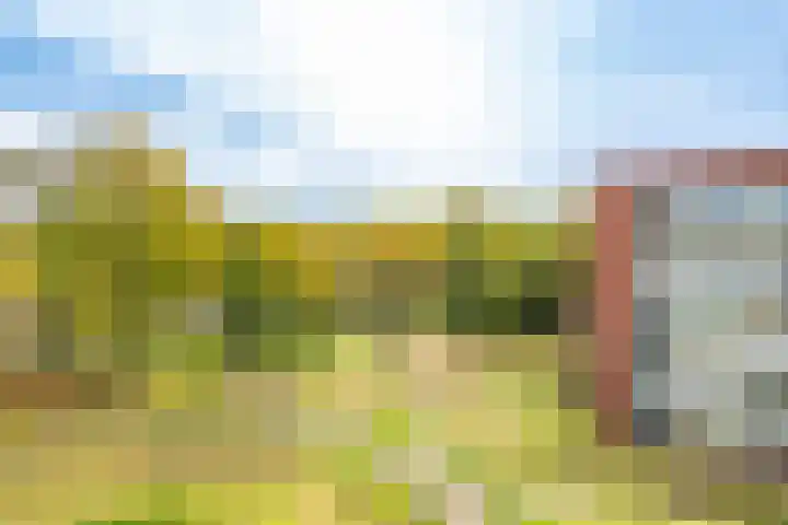 Royaards van den Hamkade 193 Utrecht thumbnail 23