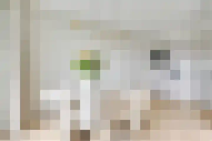 Royaards van den Hamkade 193 Utrecht thumbnail 24