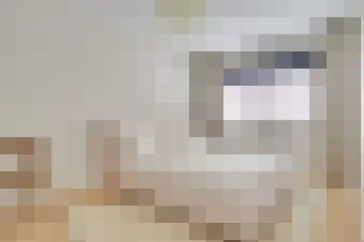 Royaards van den Hamkade 193 Utrecht thumbnail 35