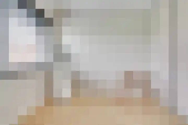 Royaards van den Hamkade 193 Utrecht thumbnail 38