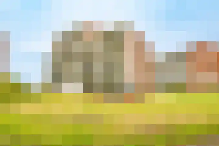 Royaards van den Hamkade 193 Utrecht thumbnail 4