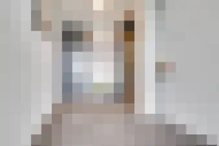 Royaards van den Hamkade 193 Utrecht thumbnail 45