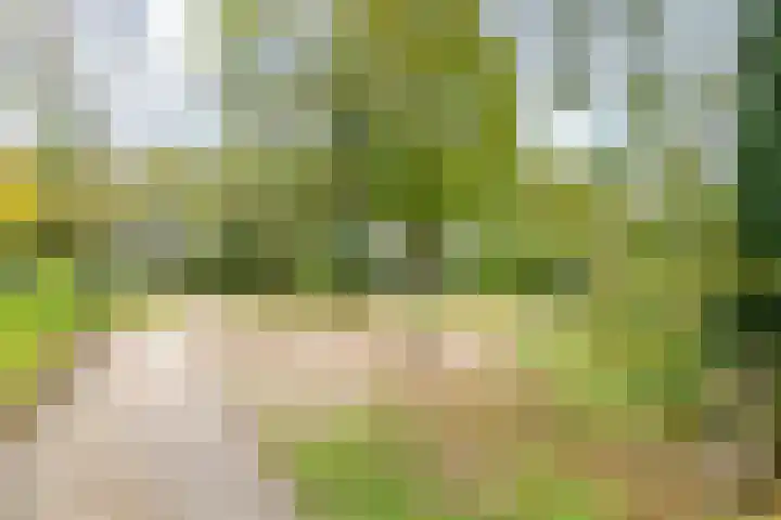 Royaards van den Hamkade 193 Utrecht thumbnail 46