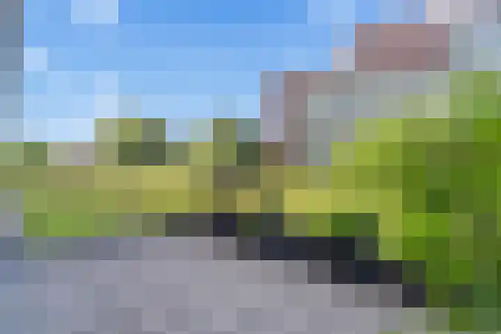 Royaards van den Hamkade 215 Utrecht thumbnail 11