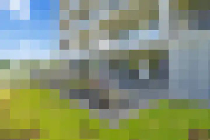 Royaards van den Hamkade 215 Utrecht thumbnail 15