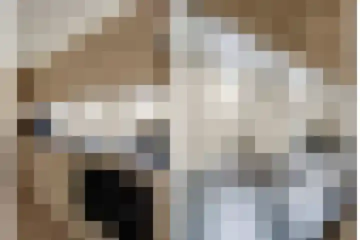 Royaards van den Hamkade 215 Utrecht thumbnail 19