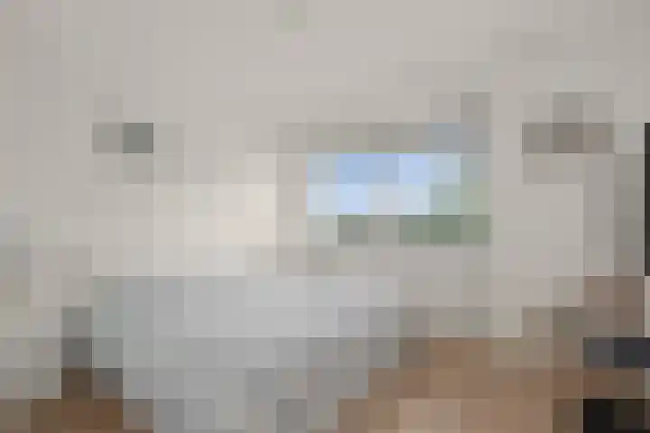 Royaards van den Hamkade 215 Utrecht thumbnail 22