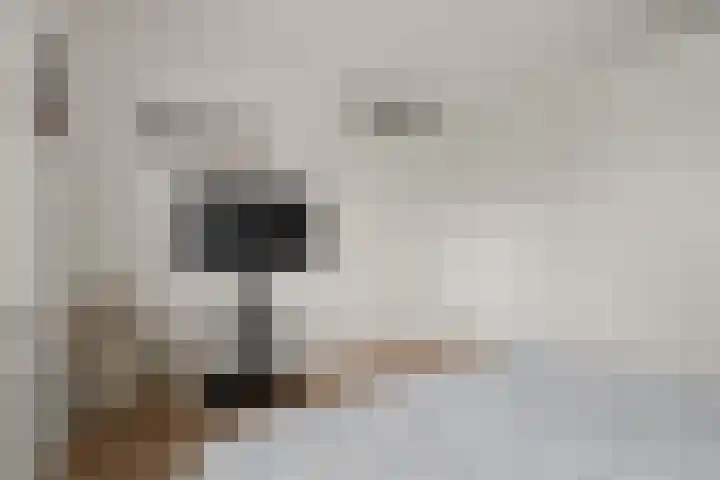 Royaards van den Hamkade 215 Utrecht thumbnail 23