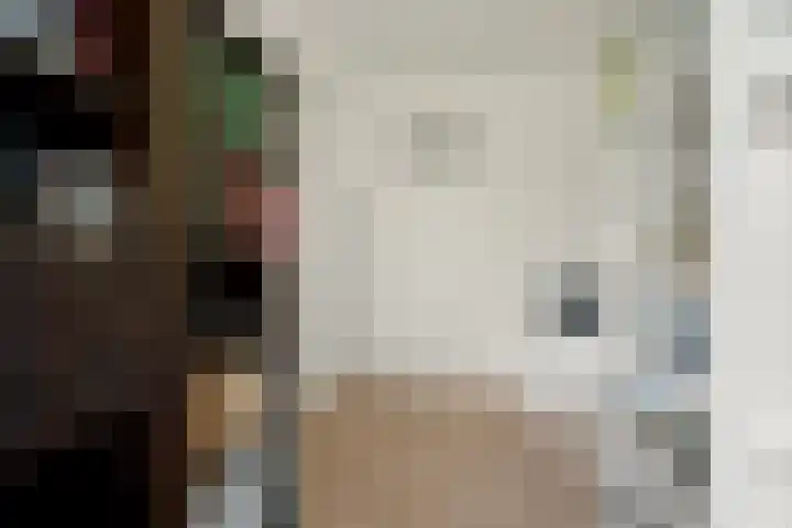 Royaards van den Hamkade 215 Utrecht thumbnail 30