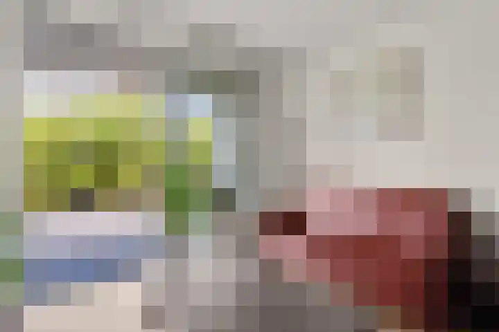 Royaards van den Hamkade 215 Utrecht thumbnail 7
