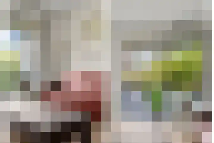Royaards van den Hamkade 215 Utrecht thumbnail 8