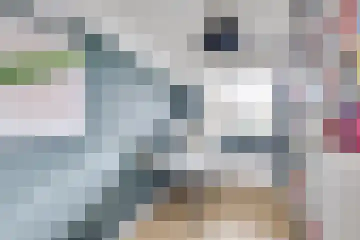 Royaards van den Hamkade 221 Utrecht thumbnail 12