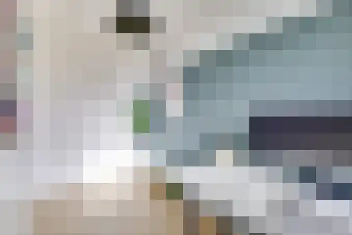 Royaards van den Hamkade 221 Utrecht thumbnail 13