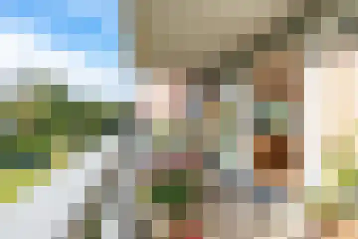 Royaards van den Hamkade 221 Utrecht thumbnail 17