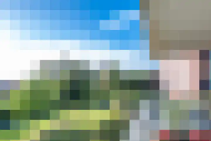 Royaards van den Hamkade 221 Utrecht thumbnail 19