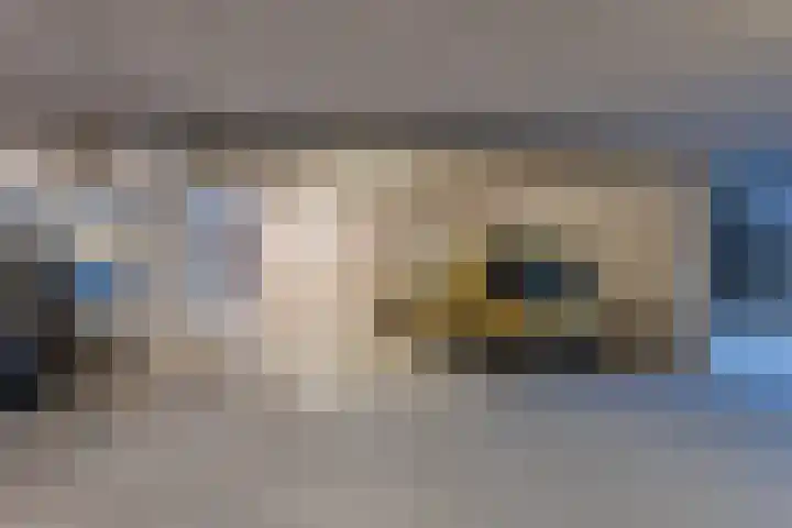 Royaards van den Hamkade 221 Utrecht thumbnail 30