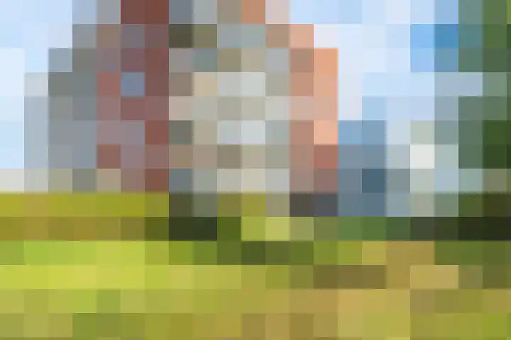 Royaards van den Hamkade 221 Utrecht thumbnail 5