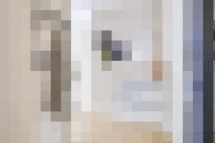 Royaards van den Hamkade 221 Utrecht thumbnail 6
