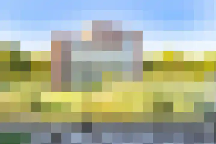Royaards van den Hamkade 241 Utrecht thumbnail 31