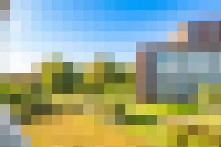 Royaards van den Hamkade 241 Utrecht thumbnail 32