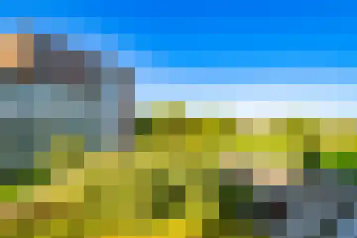 Royaards van den Hamkade 241 Utrecht thumbnail 33