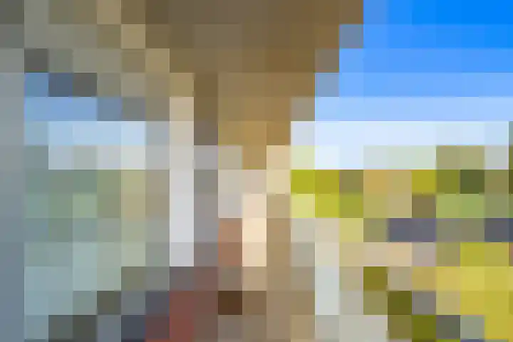 Royaards van den Hamkade 241 Utrecht thumbnail 34