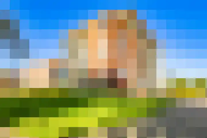 Royaards van den Hamkade 241 Utrecht thumbnail 36