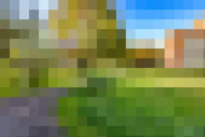 Royaards van den Hamkade 241 Utrecht thumbnail 38