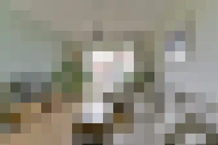 Royaards van den Hamkade 253 Utrecht thumbnail 11