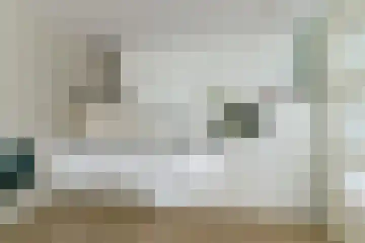 Royaards van den Hamkade 253 Utrecht thumbnail 15