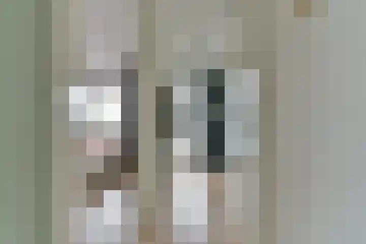 Royaards van den Hamkade 253 Utrecht thumbnail 17