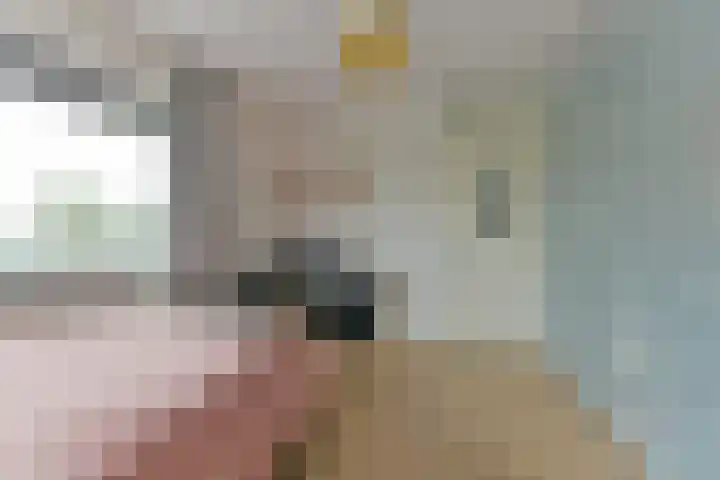 Royaards van den Hamkade 253 Utrecht thumbnail 19