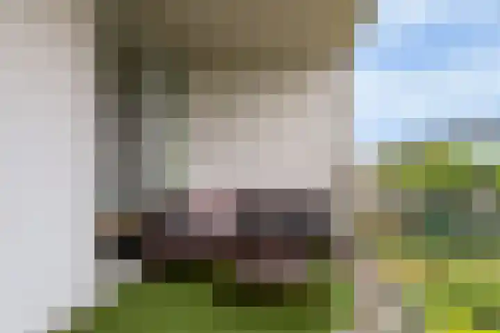 Royaards van den Hamkade 253 Utrecht thumbnail 21