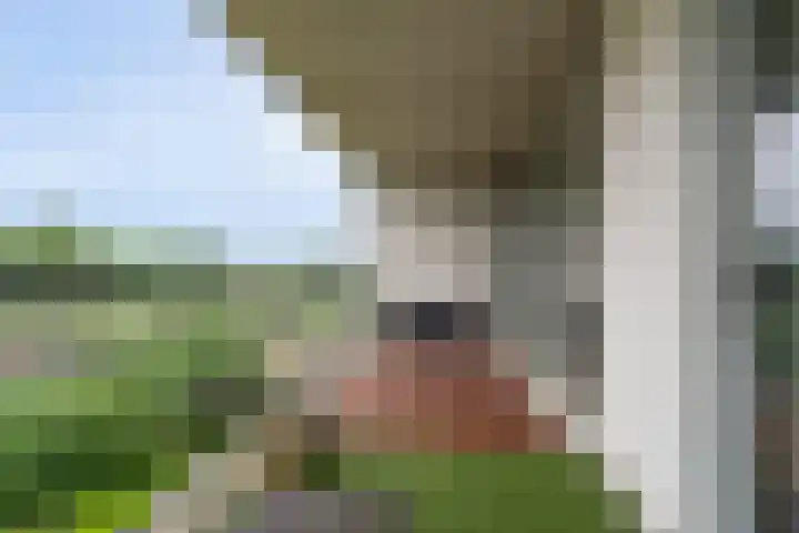 Royaards van den Hamkade 253 Utrecht thumbnail 22